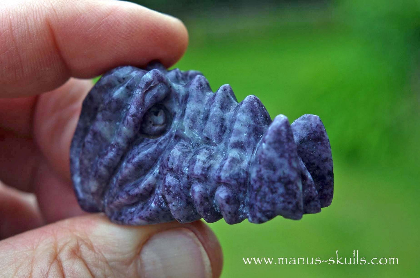 Kammererite baby Dragon