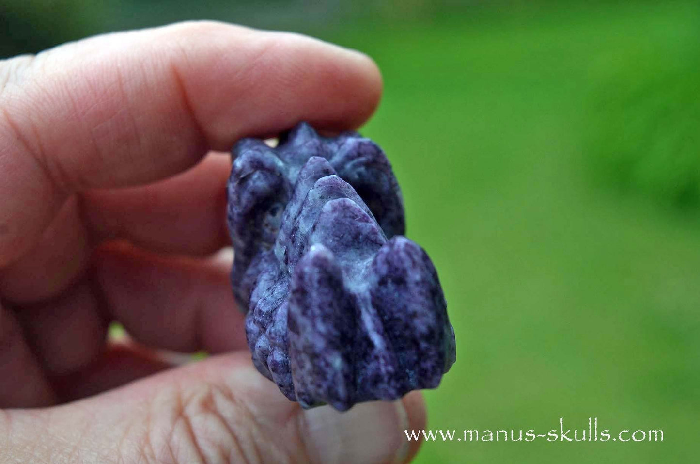 Kammererite baby Dragon