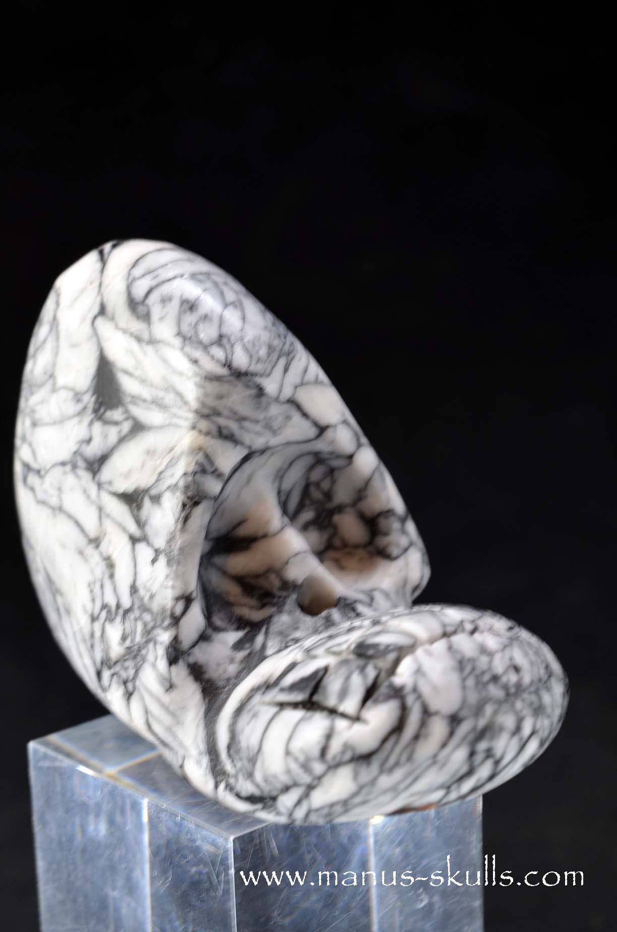Austrian Pinolith Evolian #01