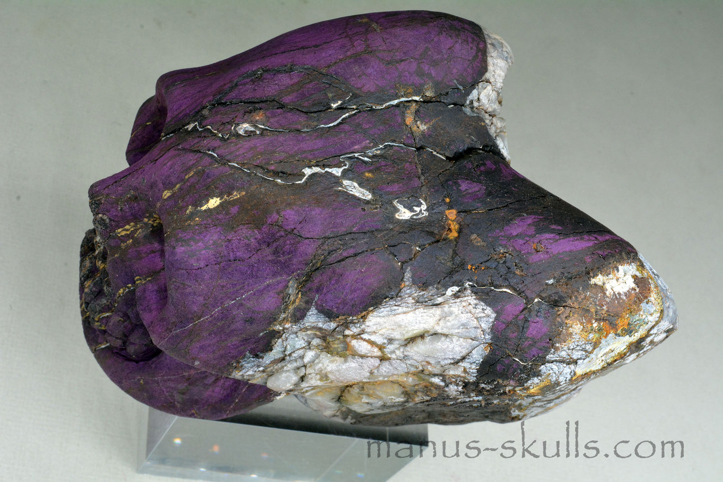 Large Purpurite Skull