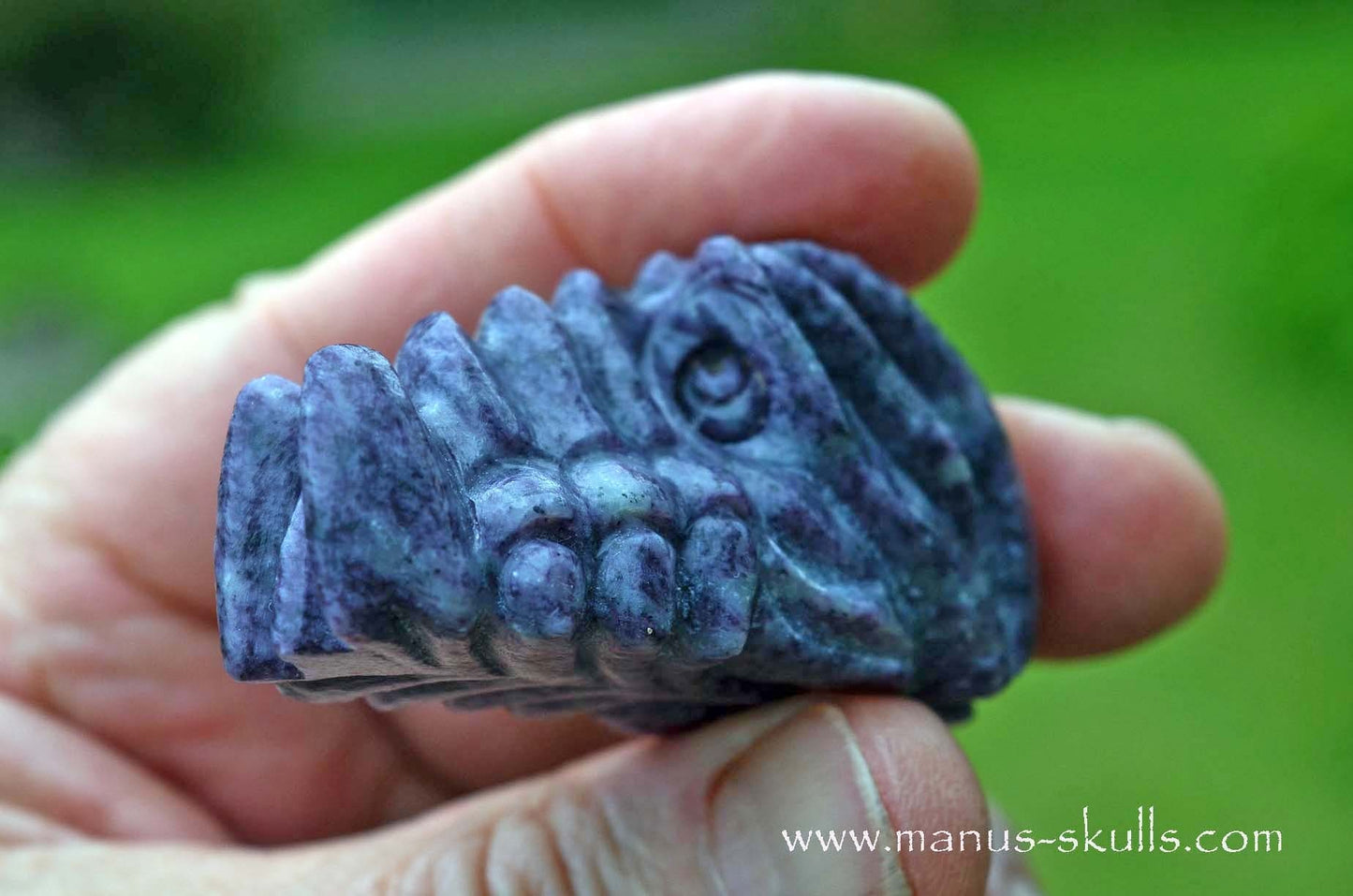 Kammererite baby Dragon