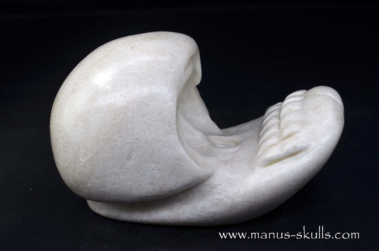 White Steatite Evolian #05