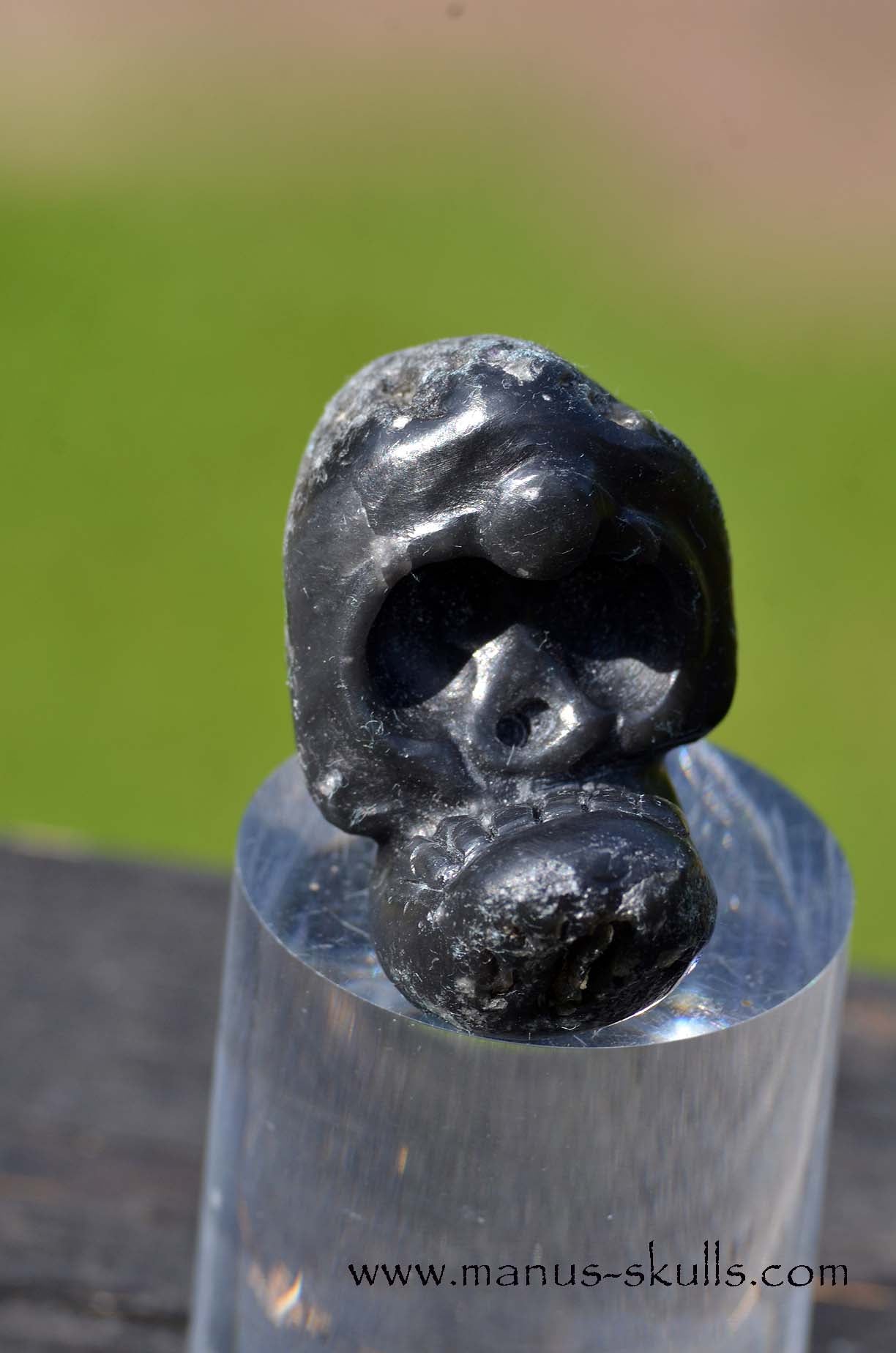 Agni Manitite Evolian #01