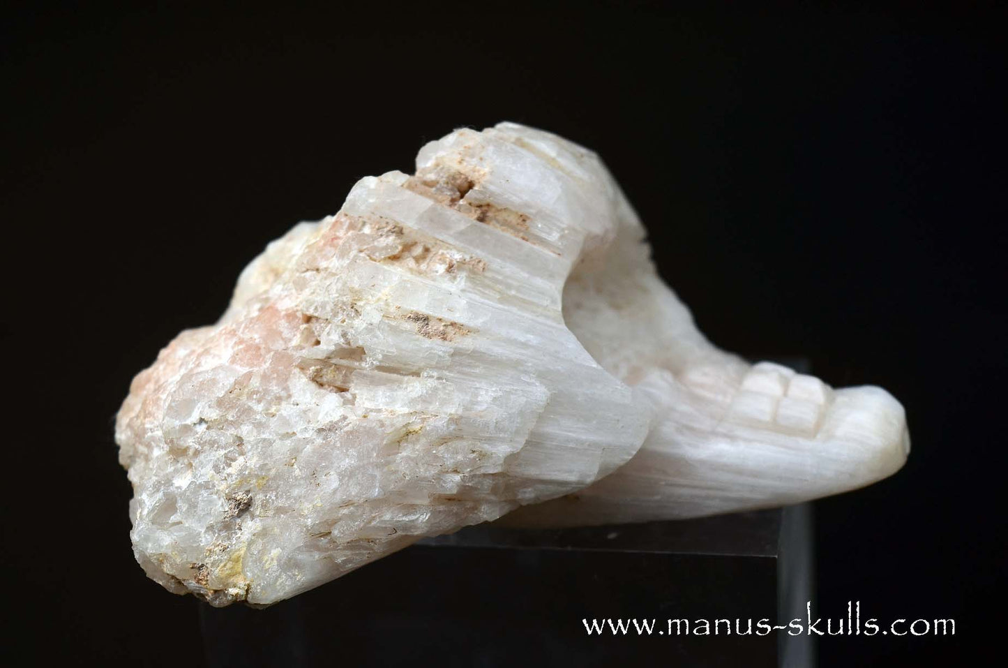 Scolecite Evolian Skull #01