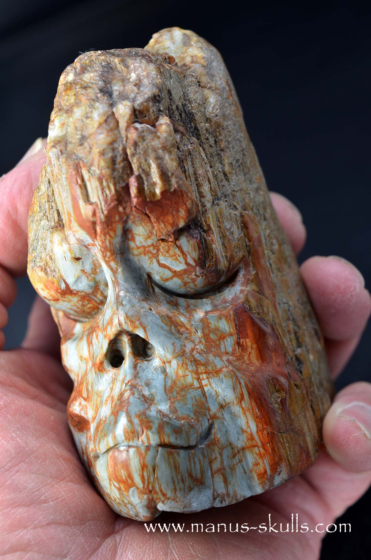 Eagle Eye Quartz Character Skull face