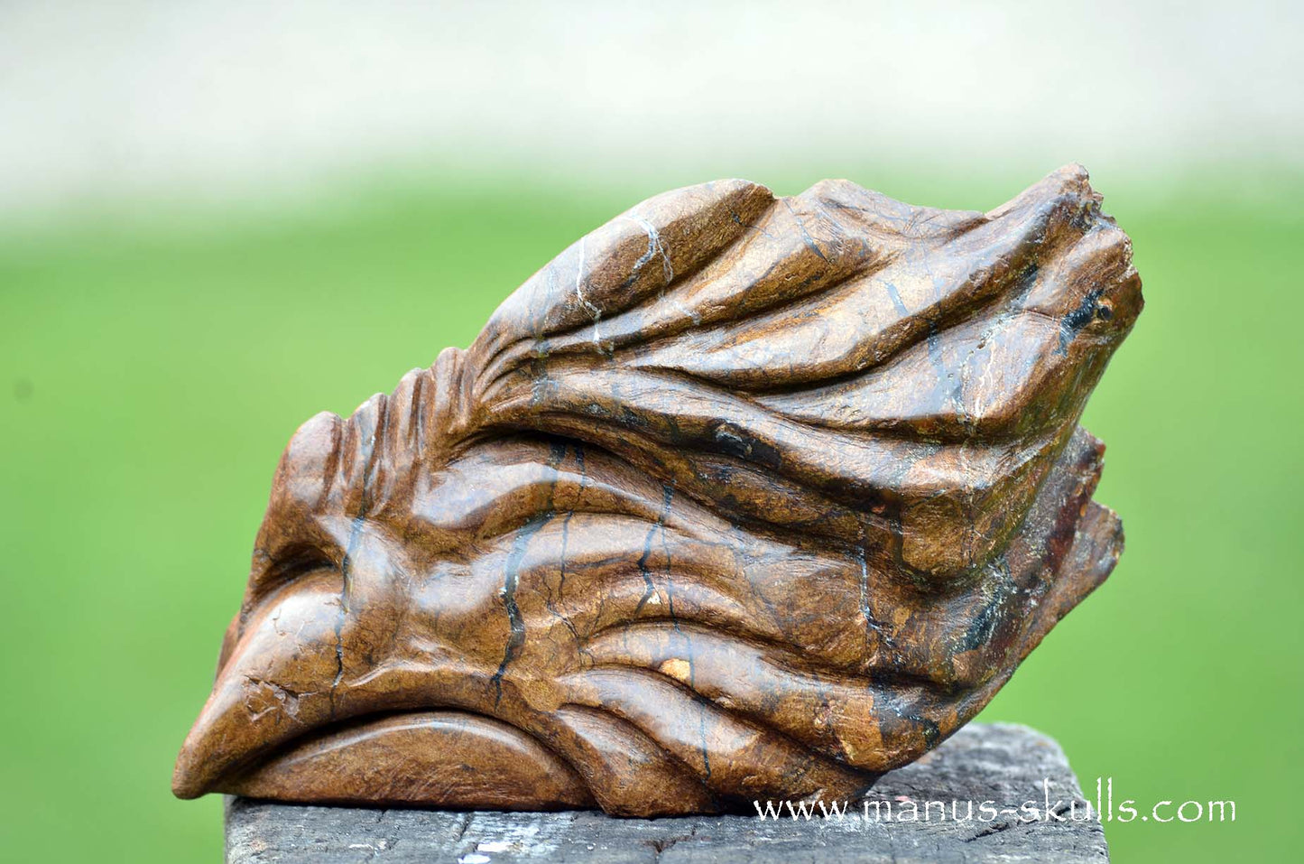 Bronzite Dragon