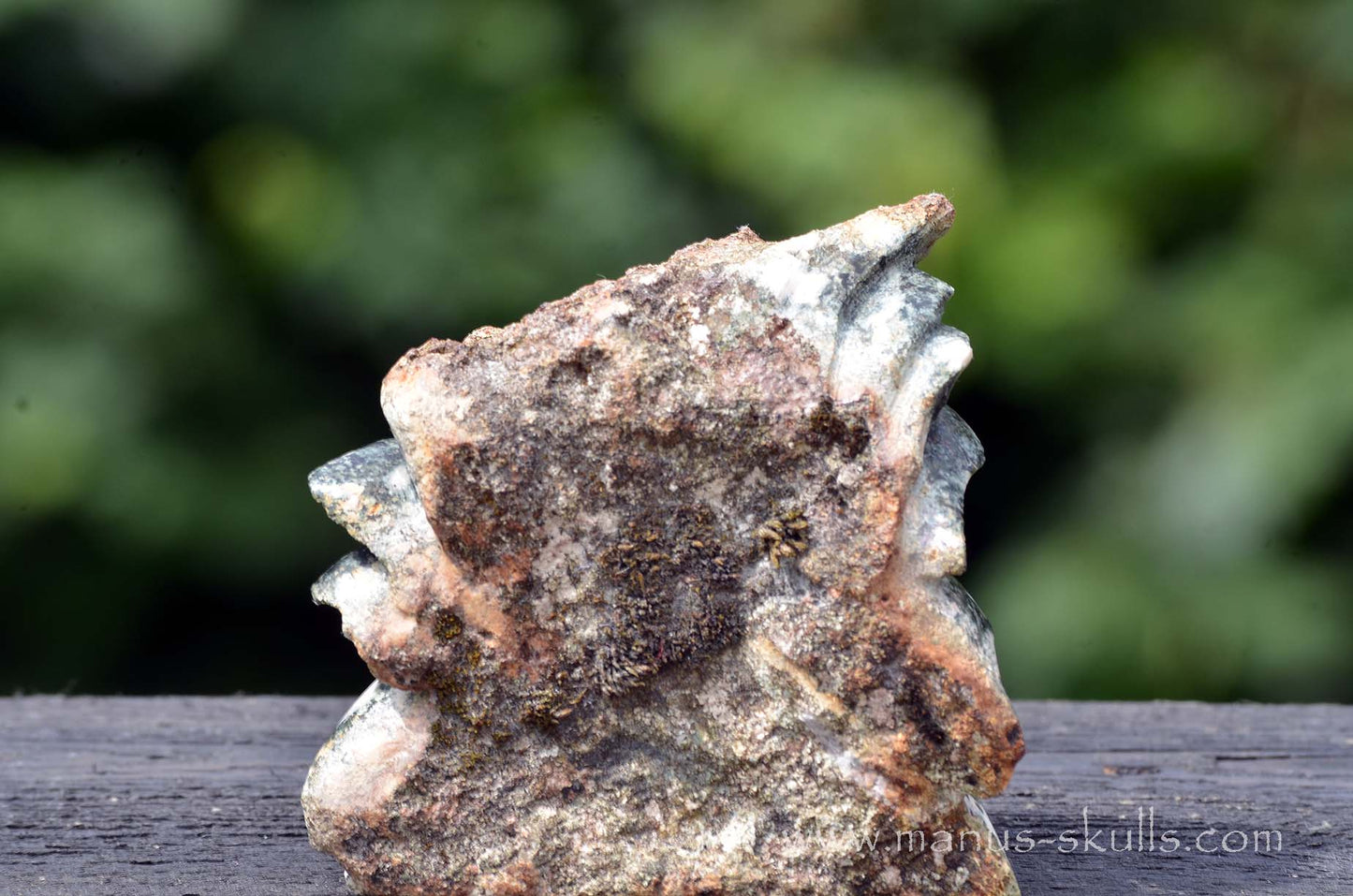 Preseli Bluestone Dragon