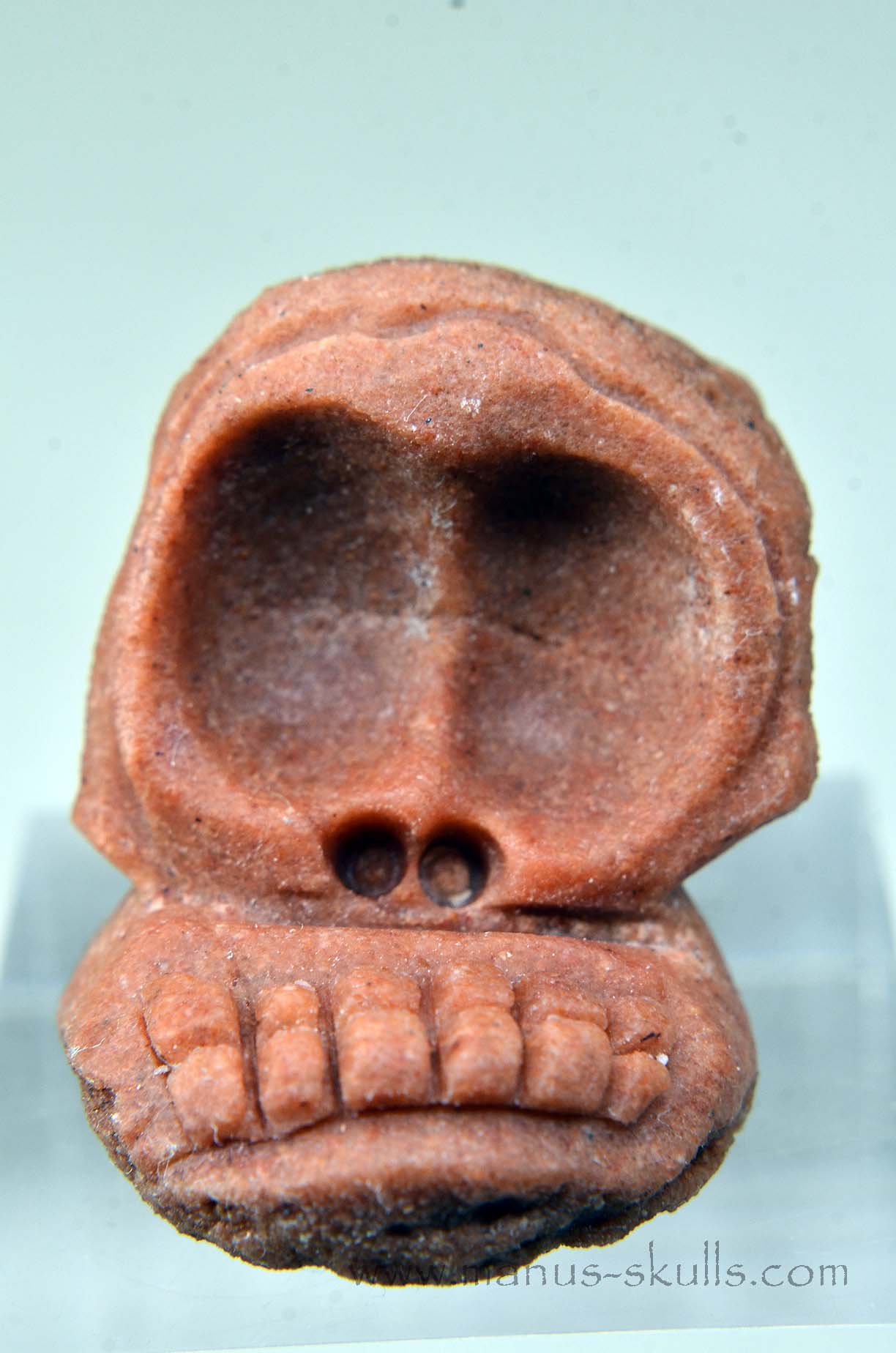 Manus skulls unique Crystal Carvings handmade skulls dragons pendants preseli bluestone tribals spiritual meaning wand Unicorn .. Stromatolite Oncolite Evolian 2025 Ivolian