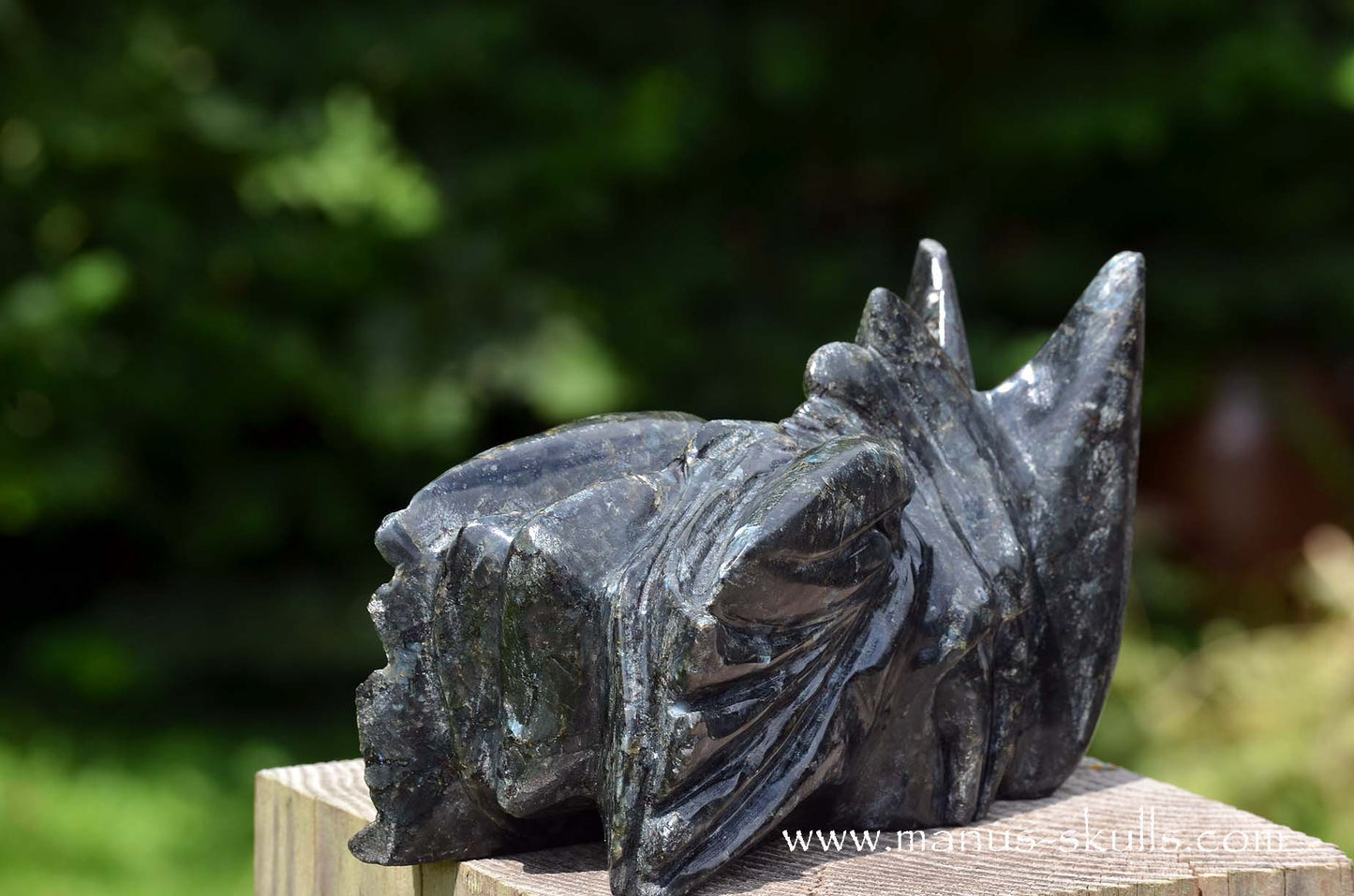 Large Larvikite Dragon