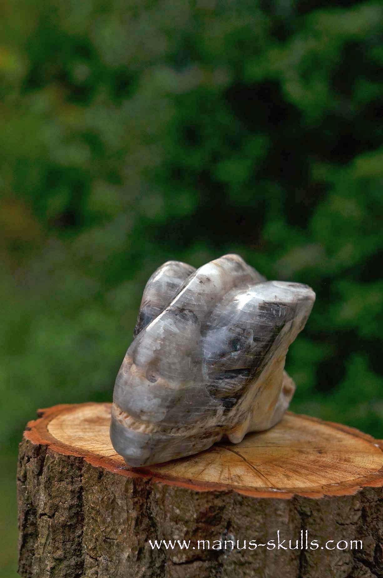 Selenite Marienglas Dragon white
