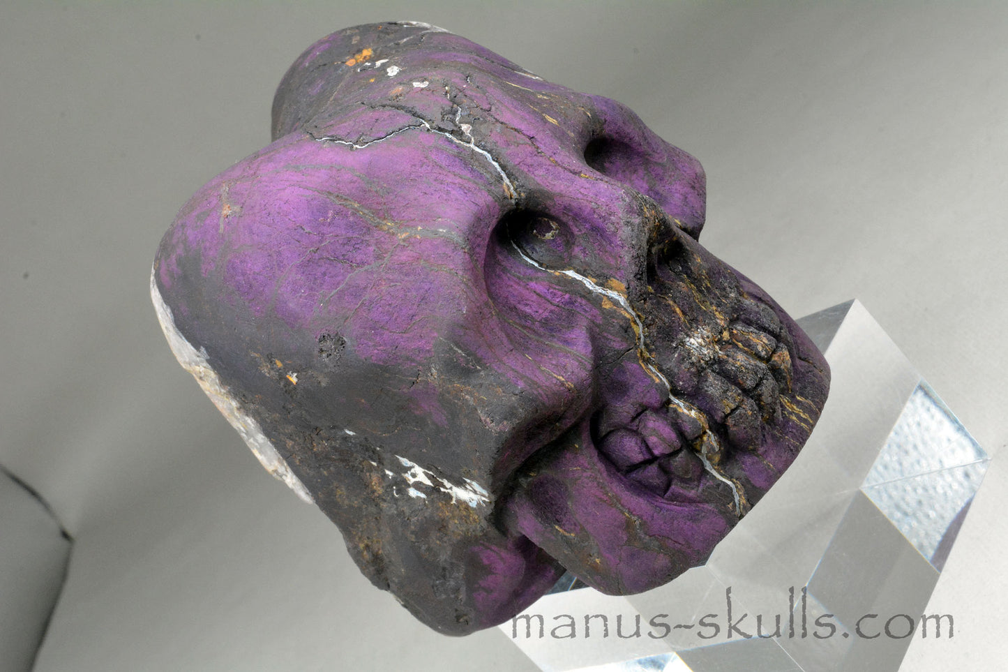 Large Purpurite Skull