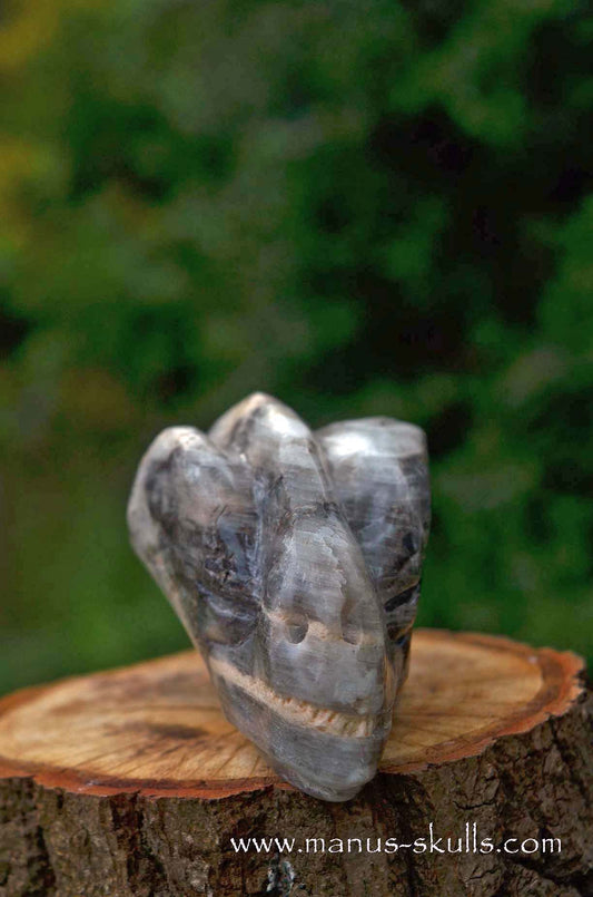 Selenite Marienglas Dragon white