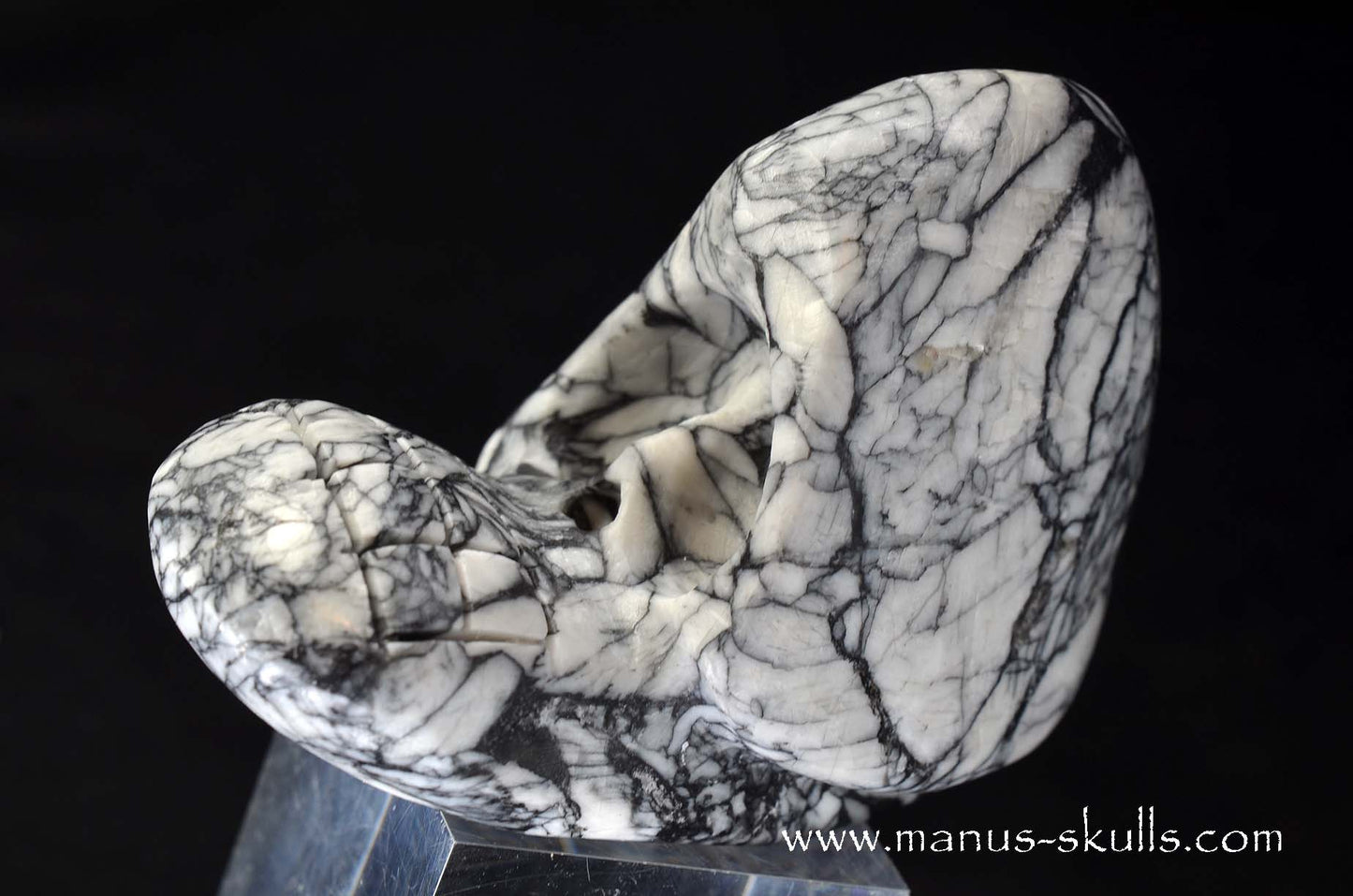 Austrian Pinolith Evolian #01