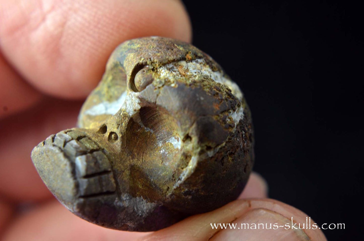 Purpurite Evolian #09