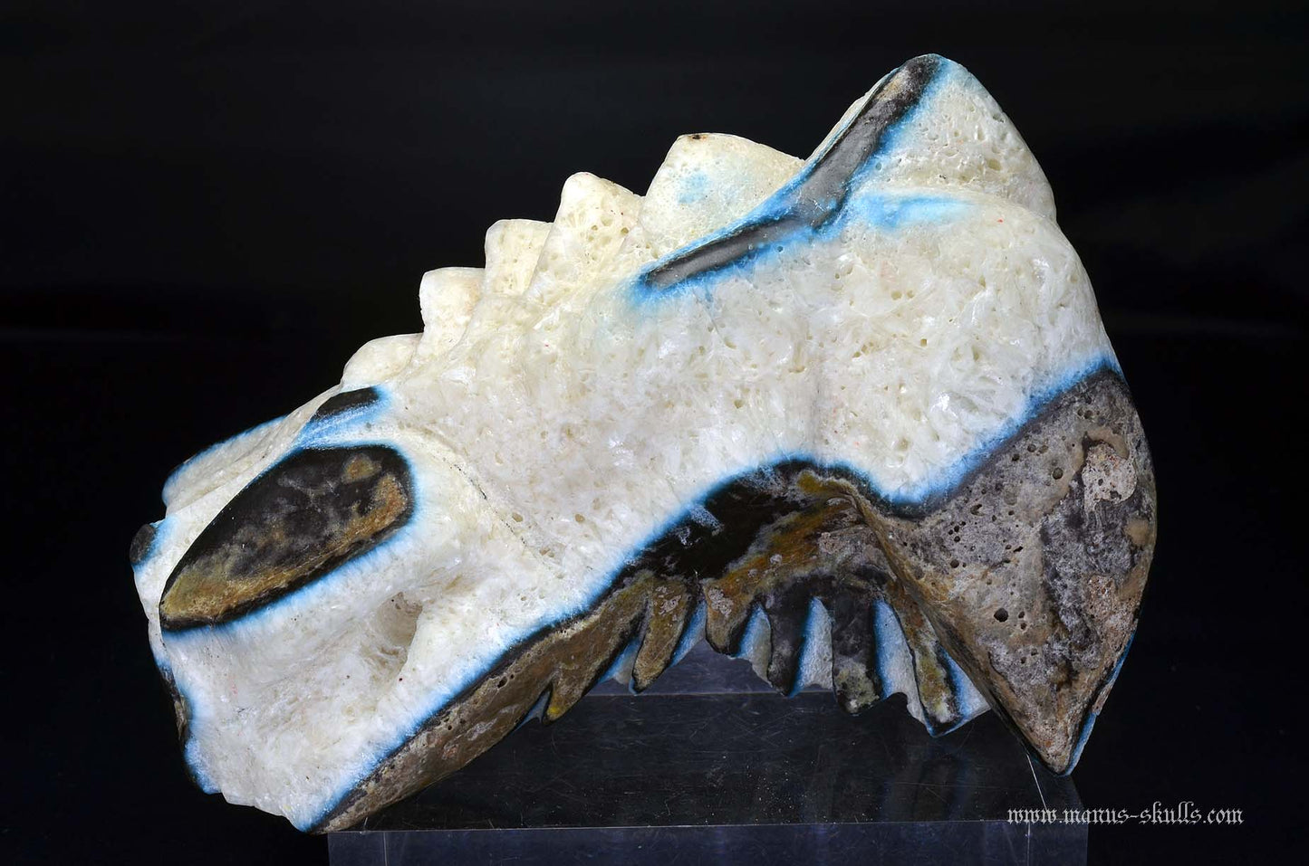 Large Glacierite Dragon
