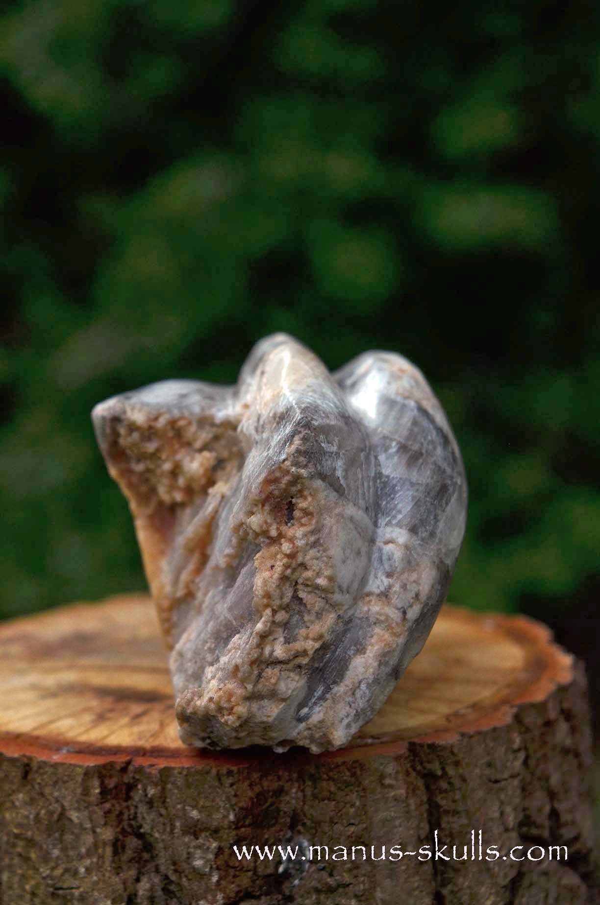 Selenite Marienglas Dragon white