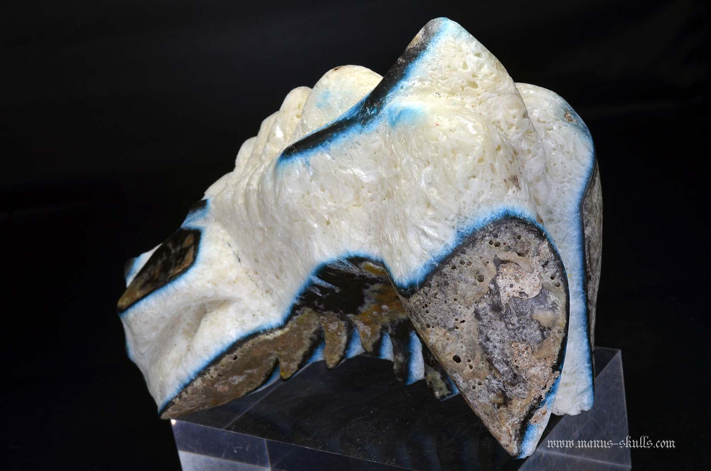 Large Glacierite Dragon