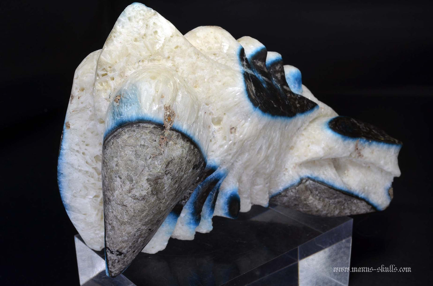 Large Glacierite Dragon
