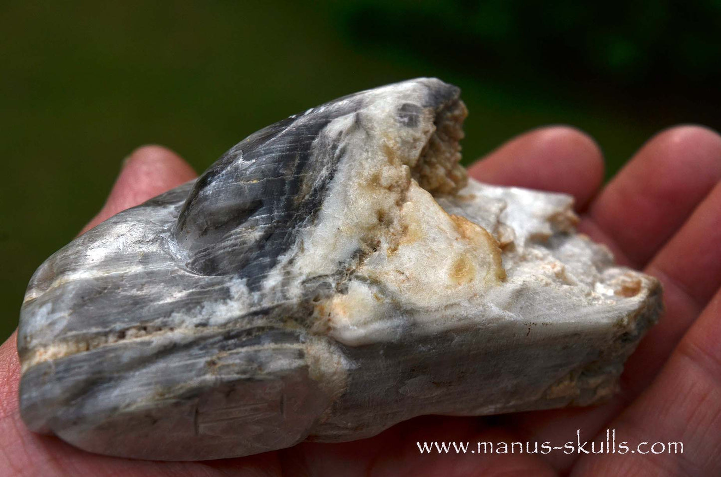 Selenite Marienglas Dragon white