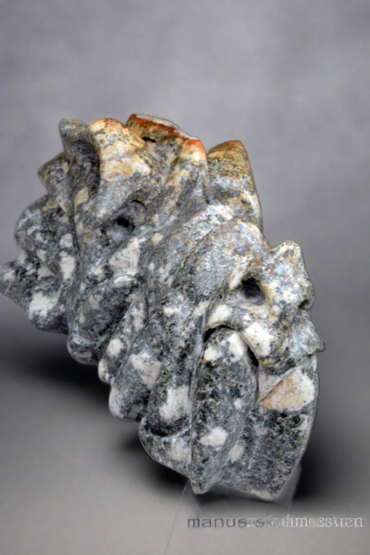 Large Preseli Bluestone Dragon