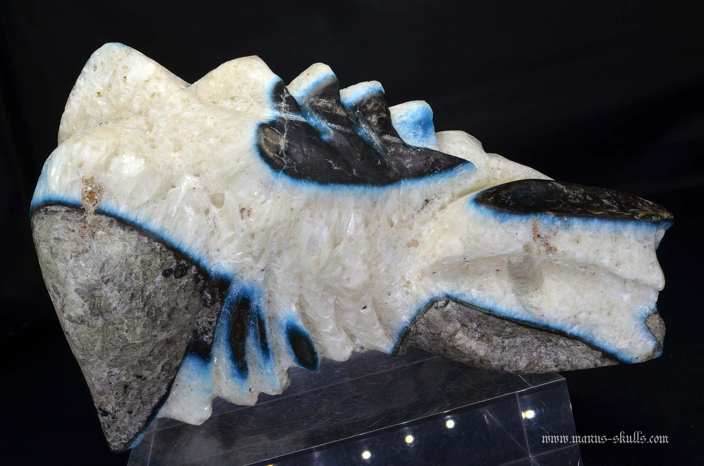 Large Glacierite Dragon