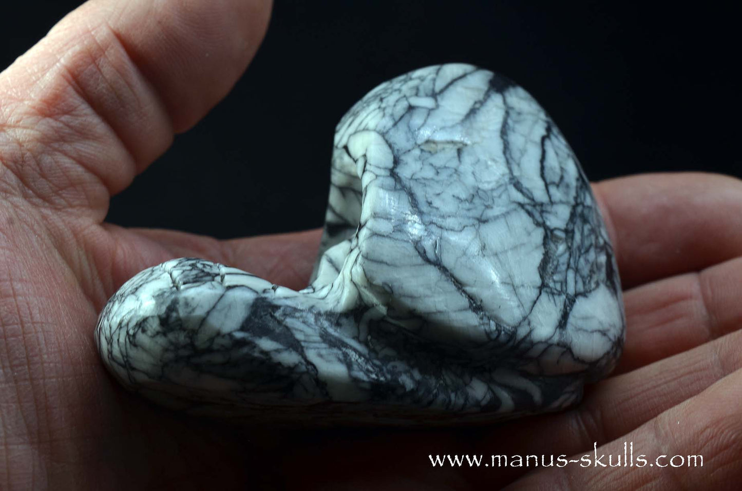 Austrian Pinolith Evolian #01