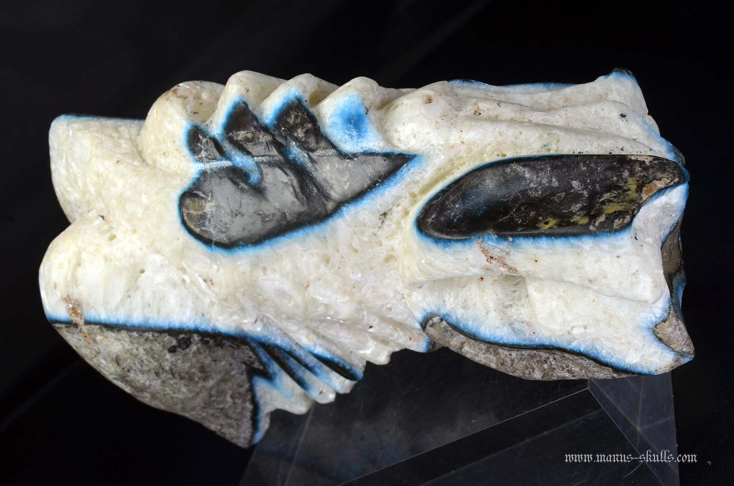 Large Glacierite Dragon