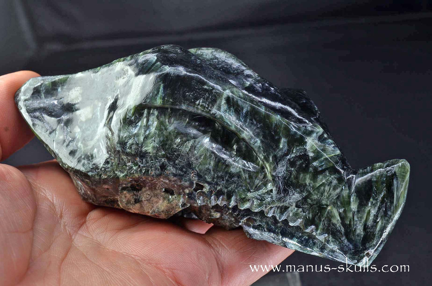 Seraphinite Dragon