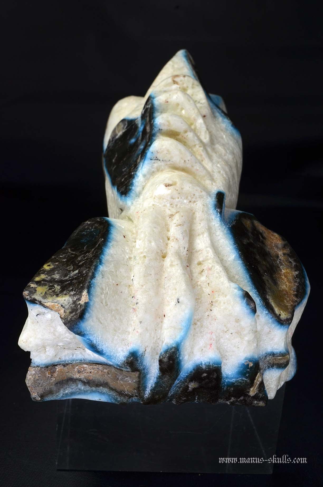 Large Glacierite Dragon