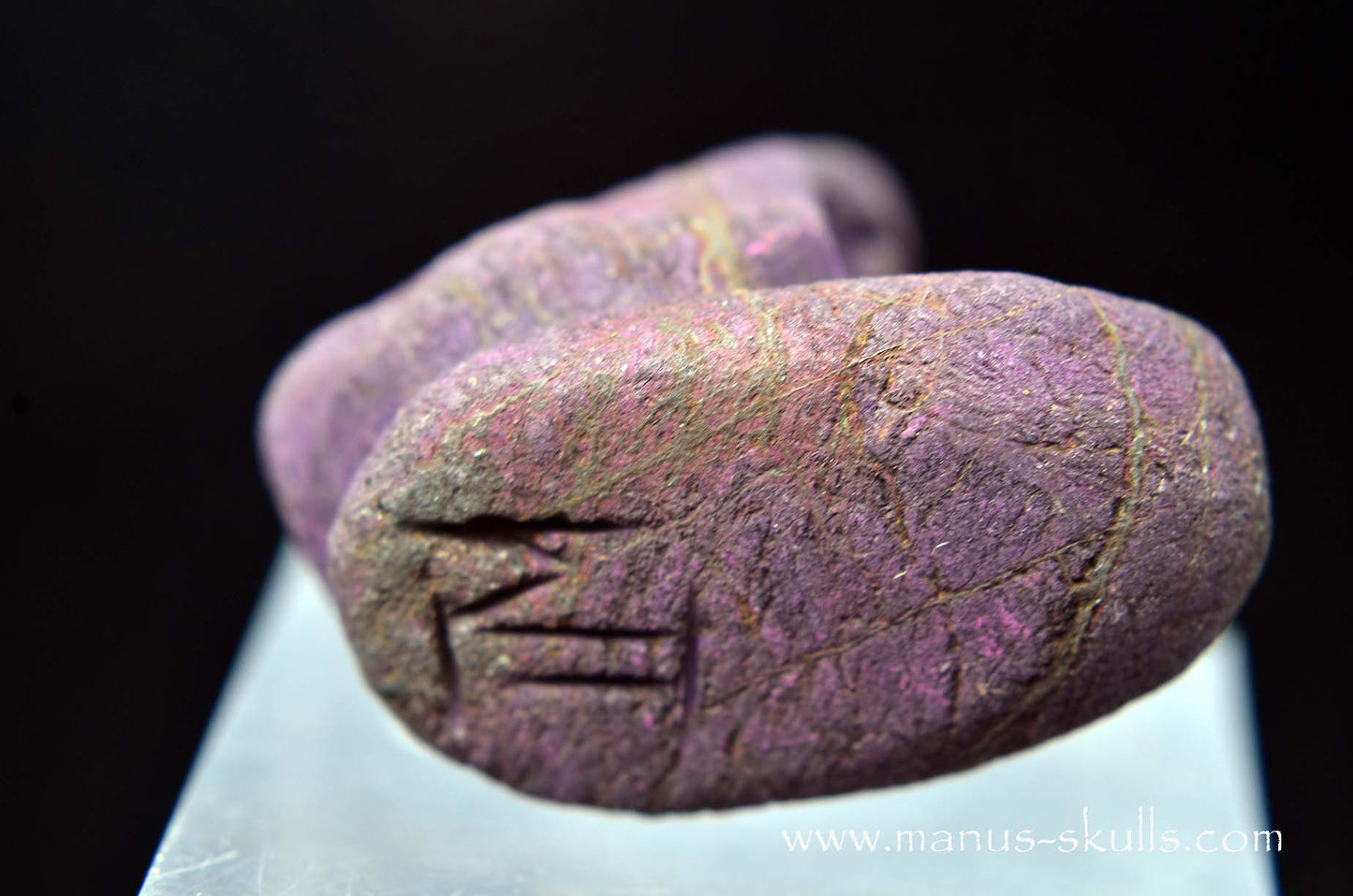 Purpurite Evolian #10