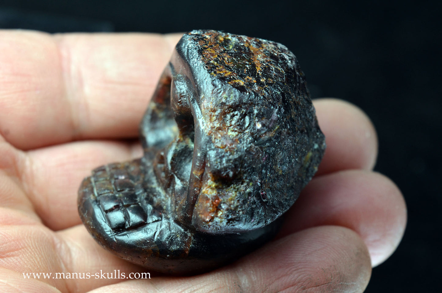 Garnet Evolian #04