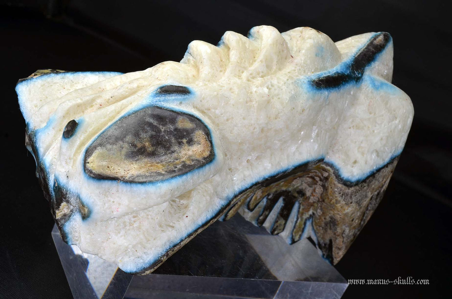 Large Glacierite Dragon
