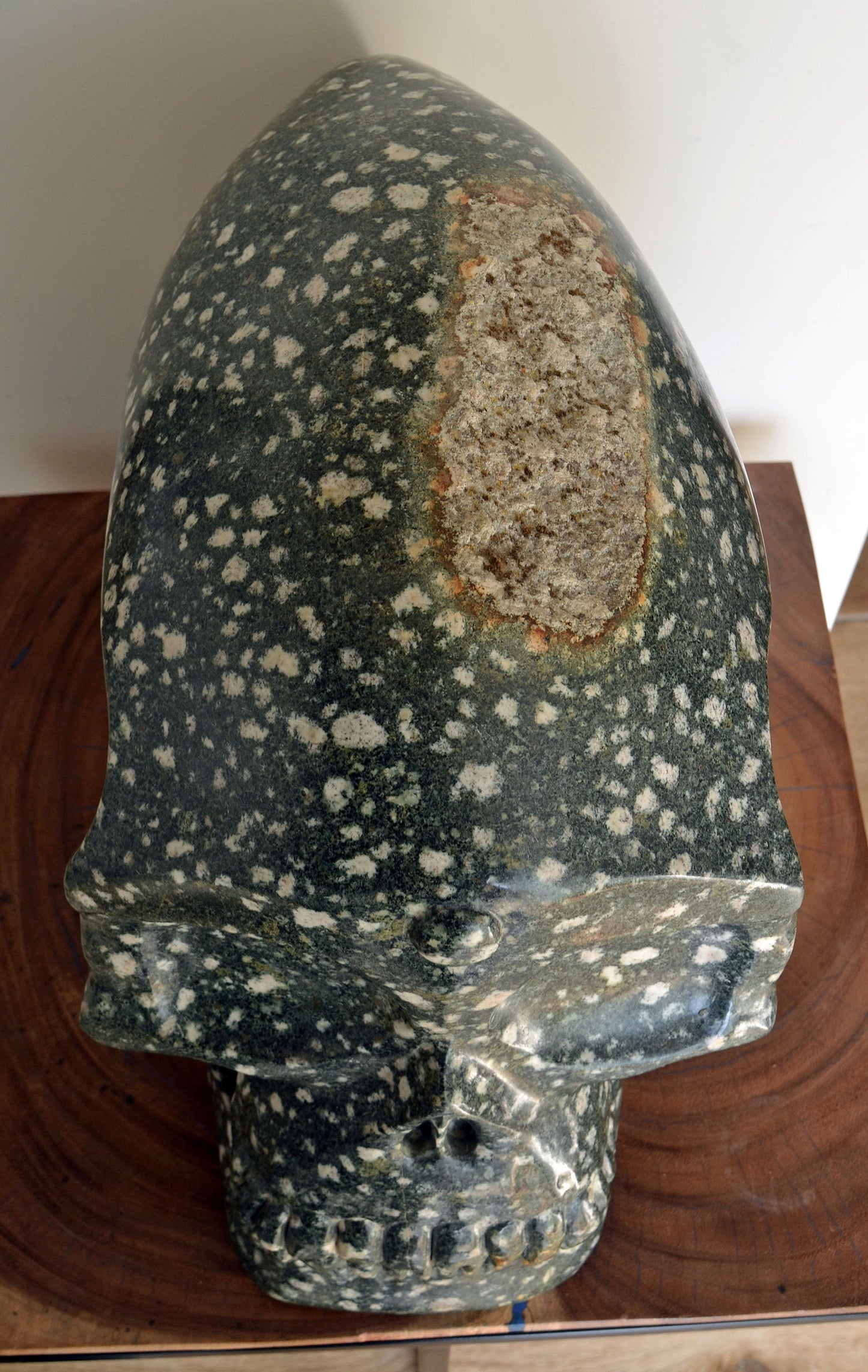 The Largest PRESELI BLUESTONE Skull in the world ...