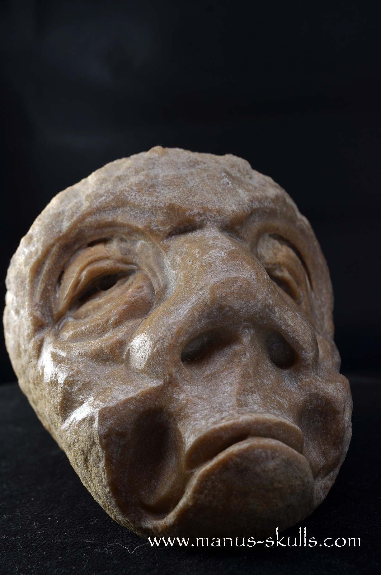 Manus skulls unique Crystal Carvings handmade skulls dragons pendants preseli bluestone tribals spiritual meaning wand Unicorn ..  oncolite  stromatolite