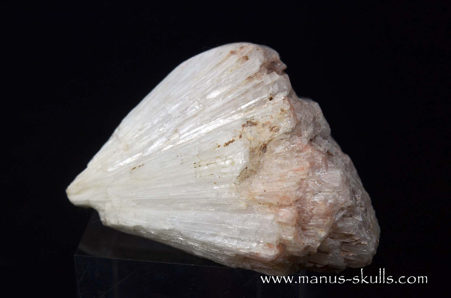 Scolecite Evolian Skull #01
