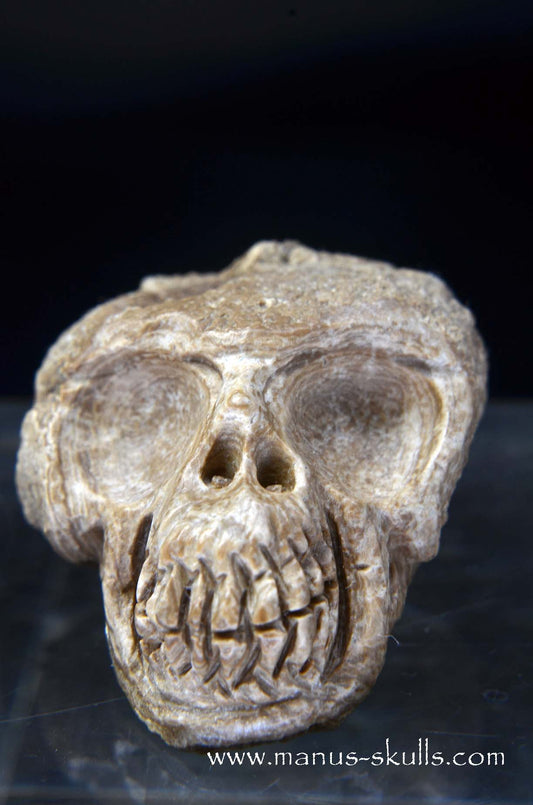 Manus skulls unique Crystal Carvings handmade skulls dragons pendants preseli bluestone tribals spiritual meaning wand Unicorn ..  aragonite nodul