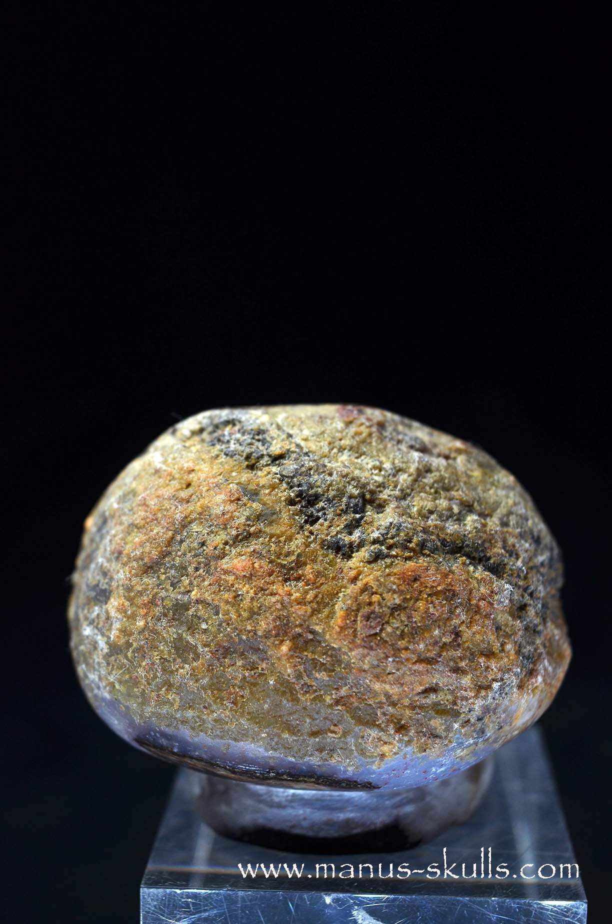 Agate Geode Evolian #02