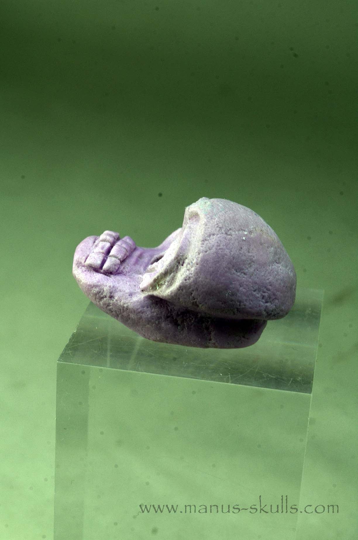 Phosphosiderite Evolian Skull #02