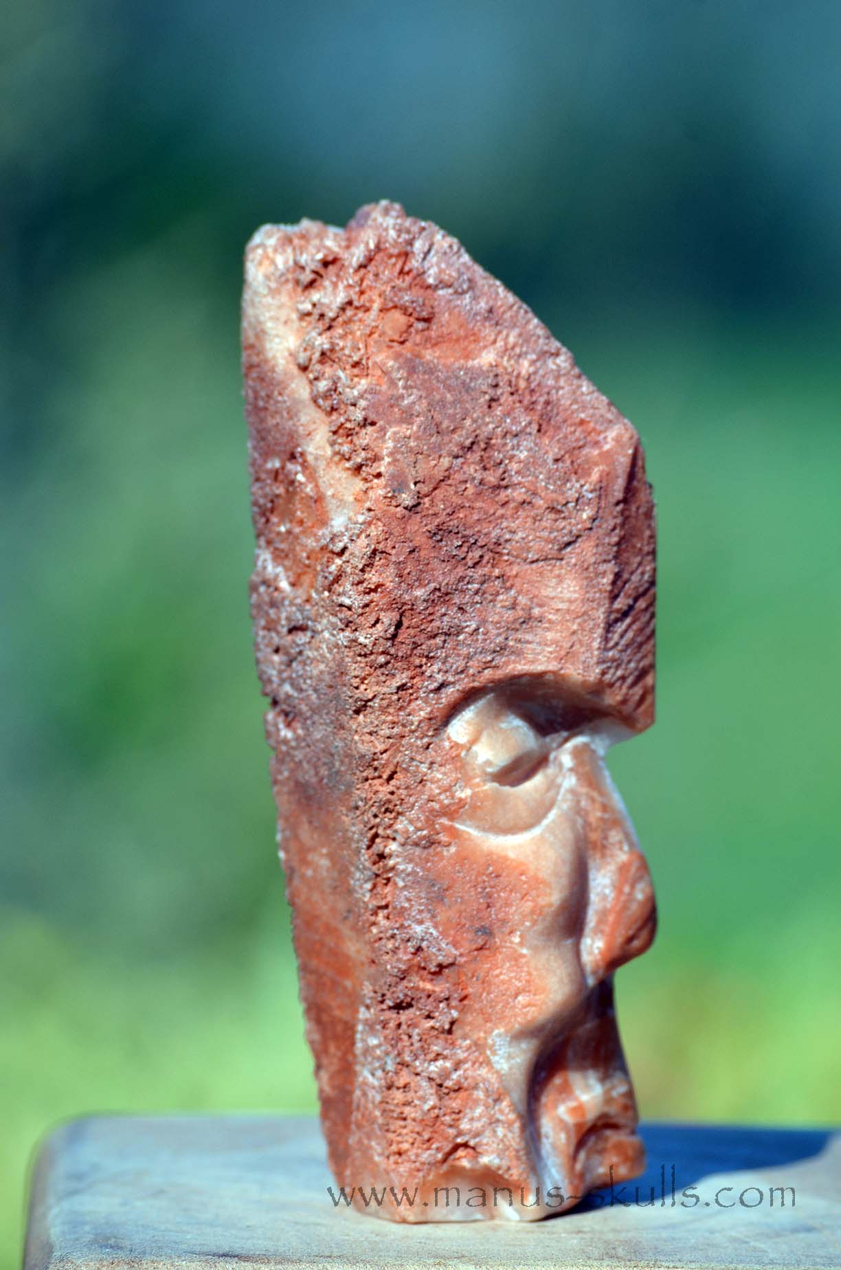 Hairless Tribal Skull #022