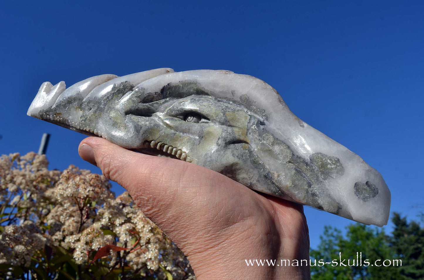 Apophyllite Dragon
