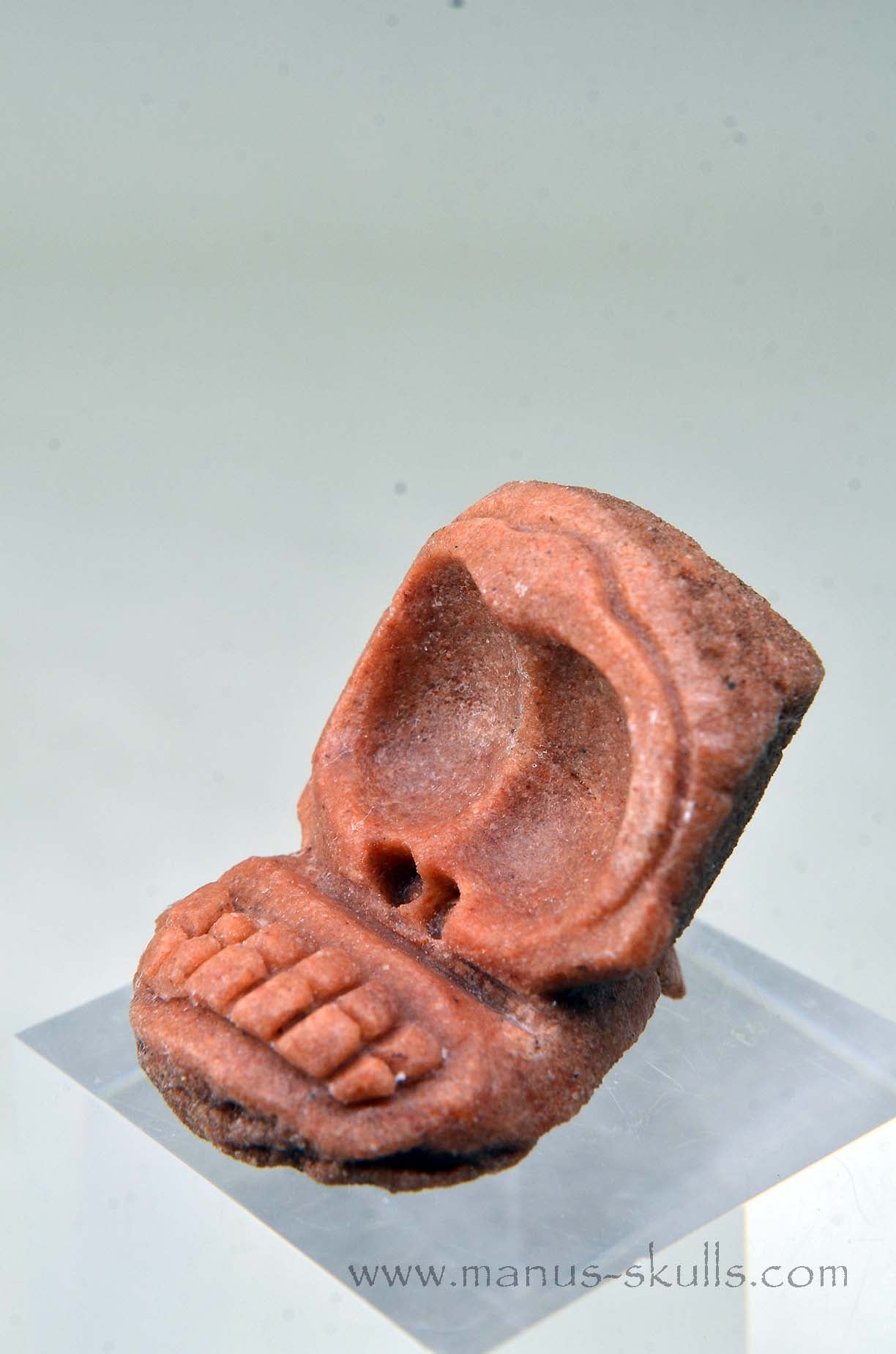 Manus skulls unique Crystal Carvings handmade skulls dragons pendants preseli bluestone tribals spiritual meaning wand Unicorn .. Stromatolite Oncolite Evolian 2025 Ivolian