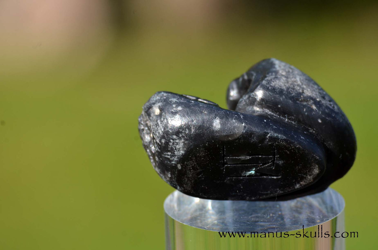 Agni Manitite Evolian #01