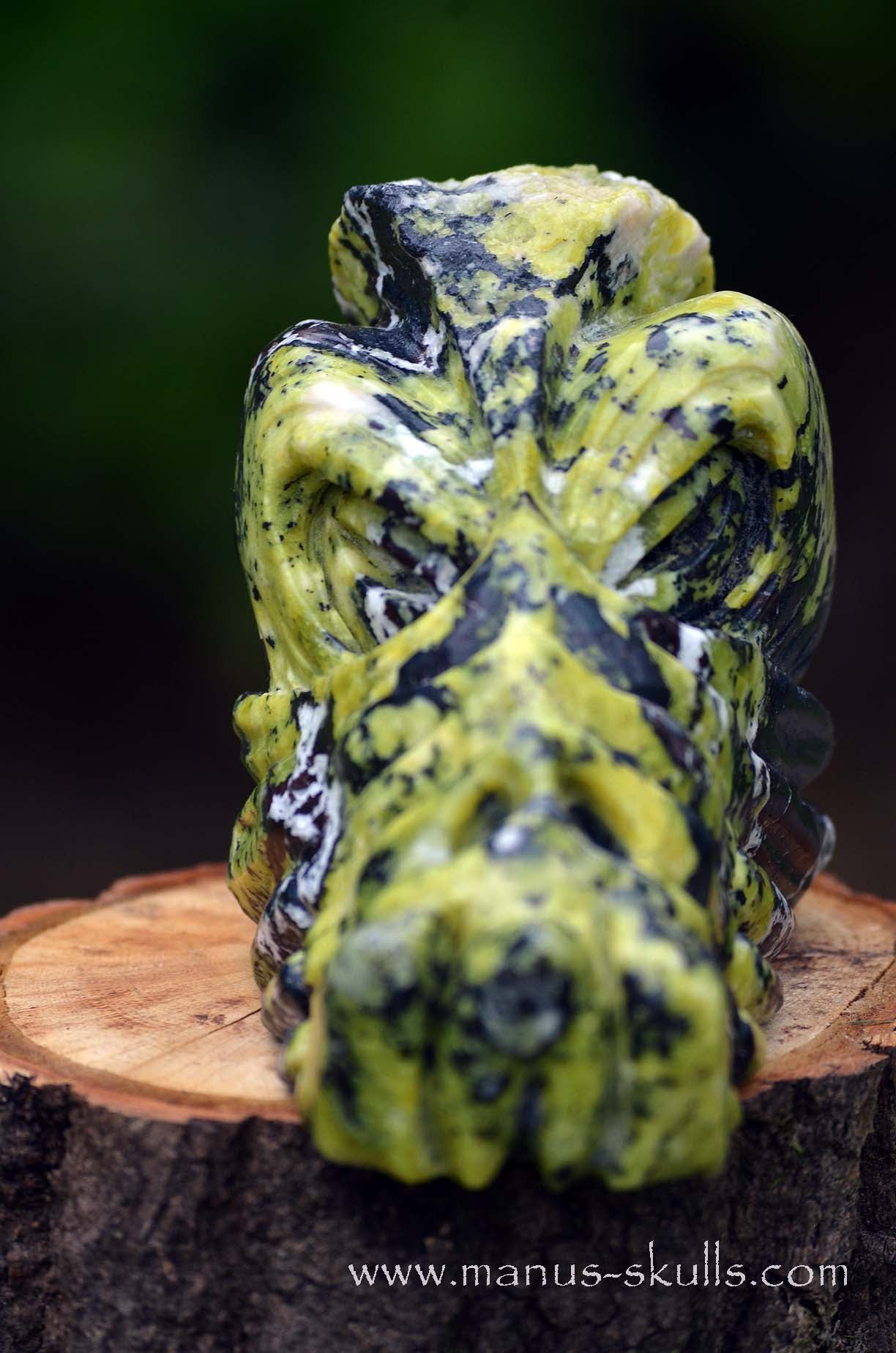 Manus skulls unique Crystal Carvings handmade skulls dragons pendants preseli bluestone tribals spiritual meaning wand Unicorn .. Lizardite