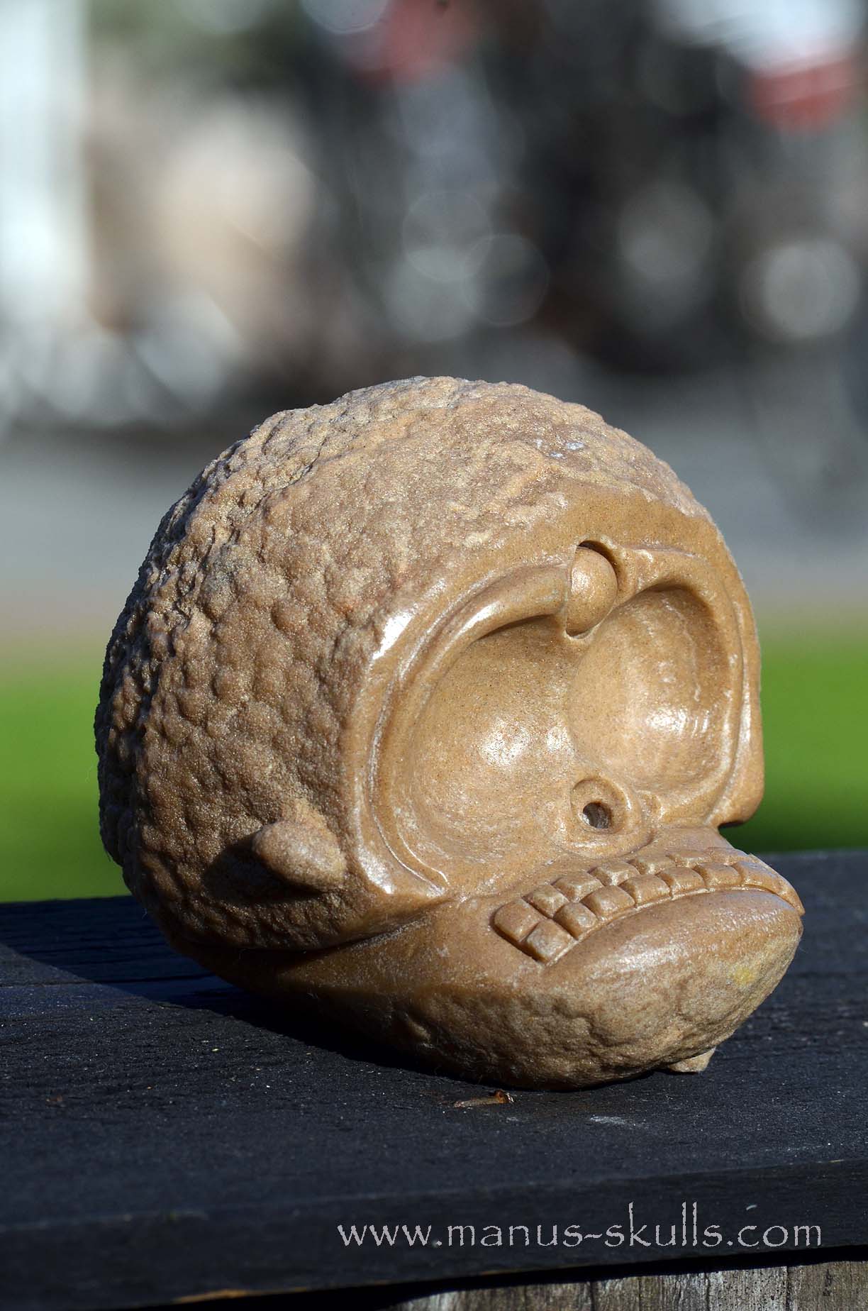 Manus skulls unique Crystal Carvings handmade skulls dragons pendants preseli bluestone tribals spiritual meaning wand Unicorn .. Oncolite stromatolite Evolian 2025