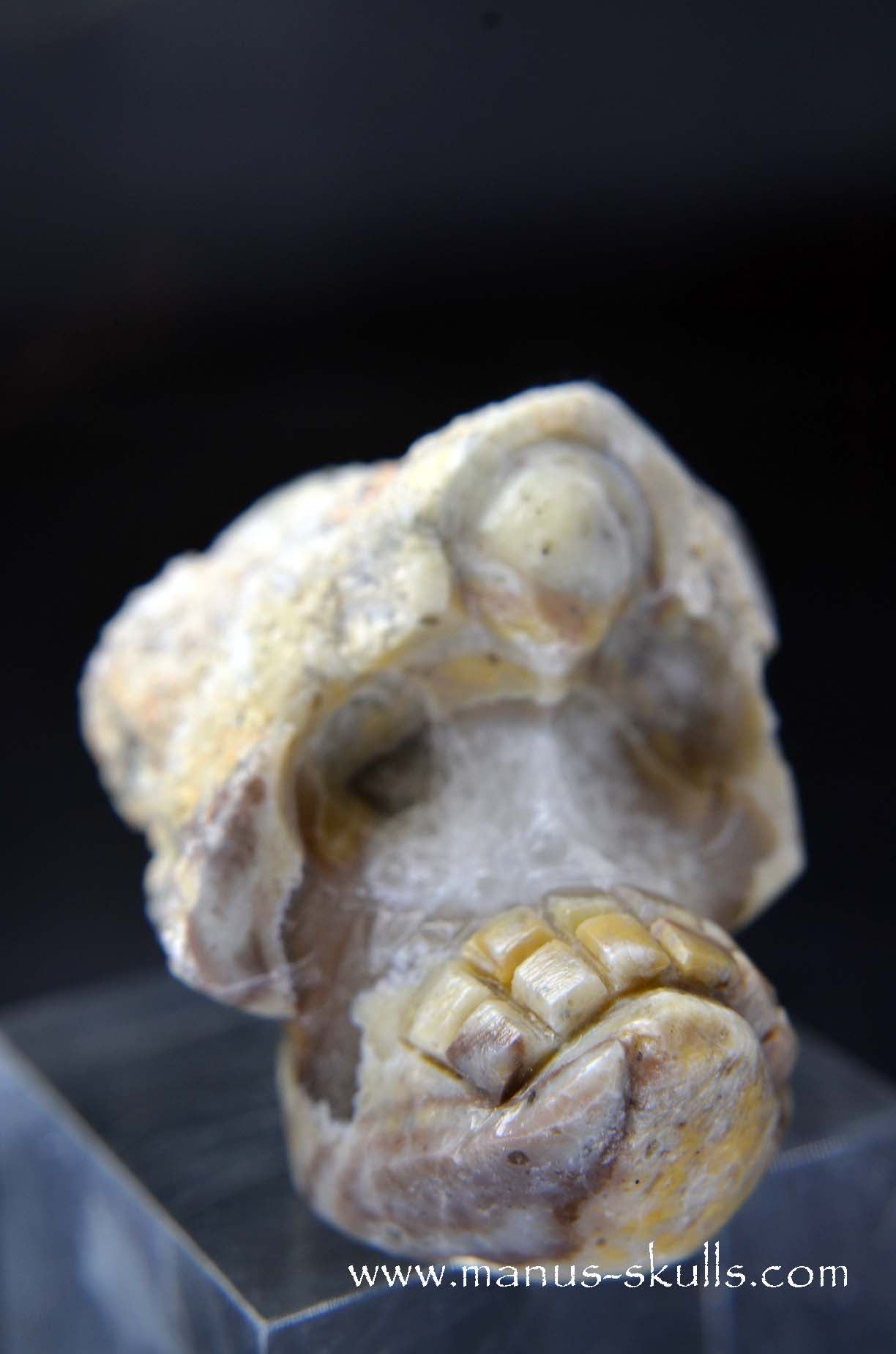 Manus skulls unique Crystal Carvings handmade skulls dragons pendants preseli bluestone tribals spiritual meaning wand Unicorn .. TNT bed   Lithophyse   Thunderegg