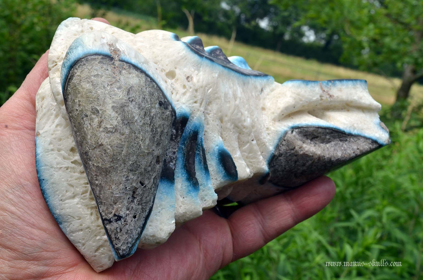 Large Glacierite Dragon
