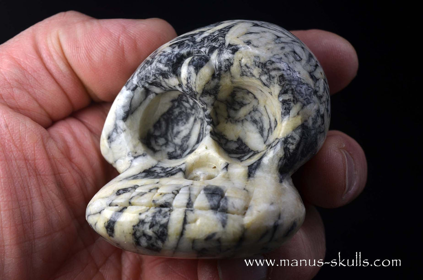 Austrian Pinolith Evolian #02