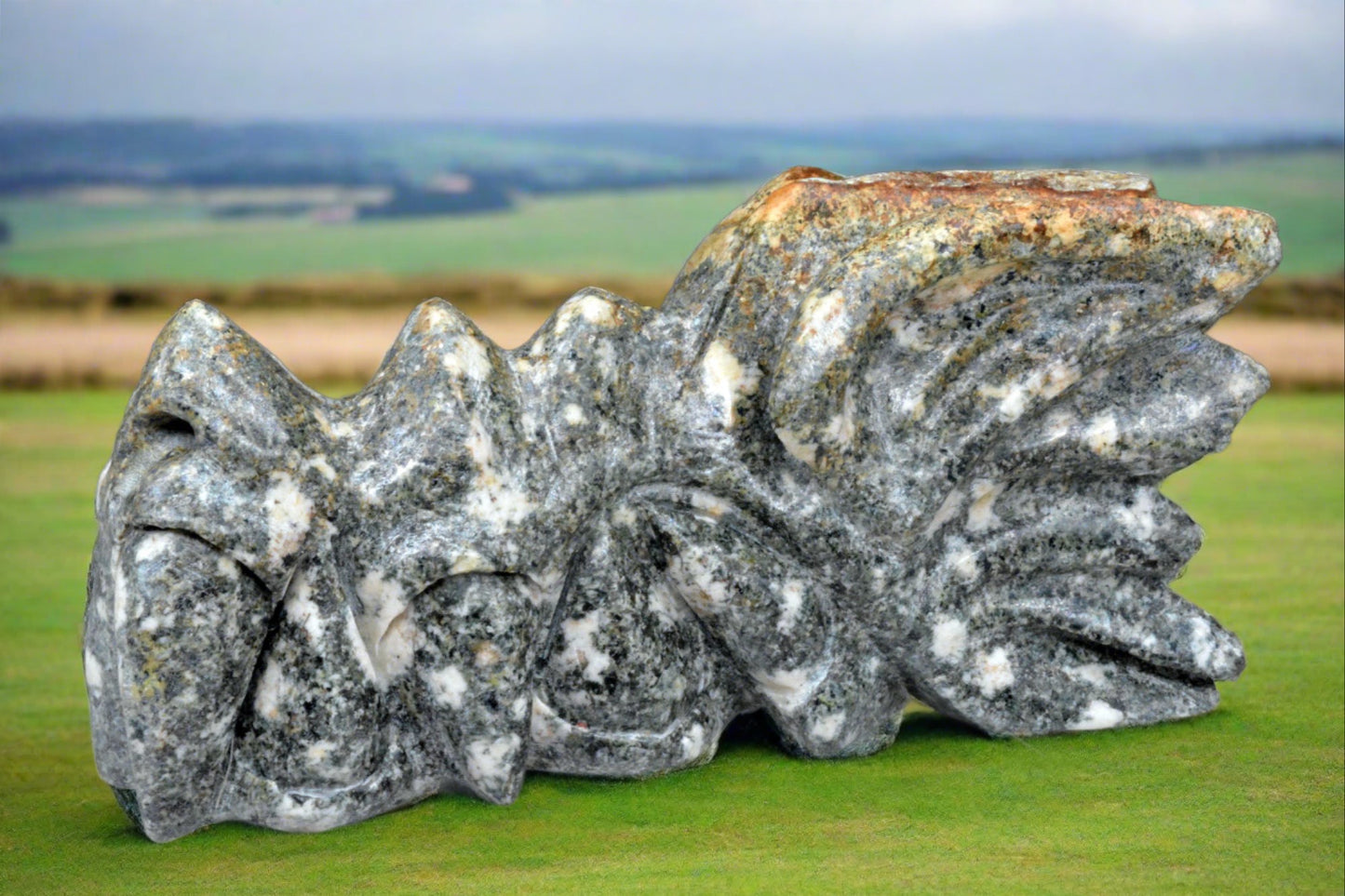 Large Preseli Bluestone Dragon