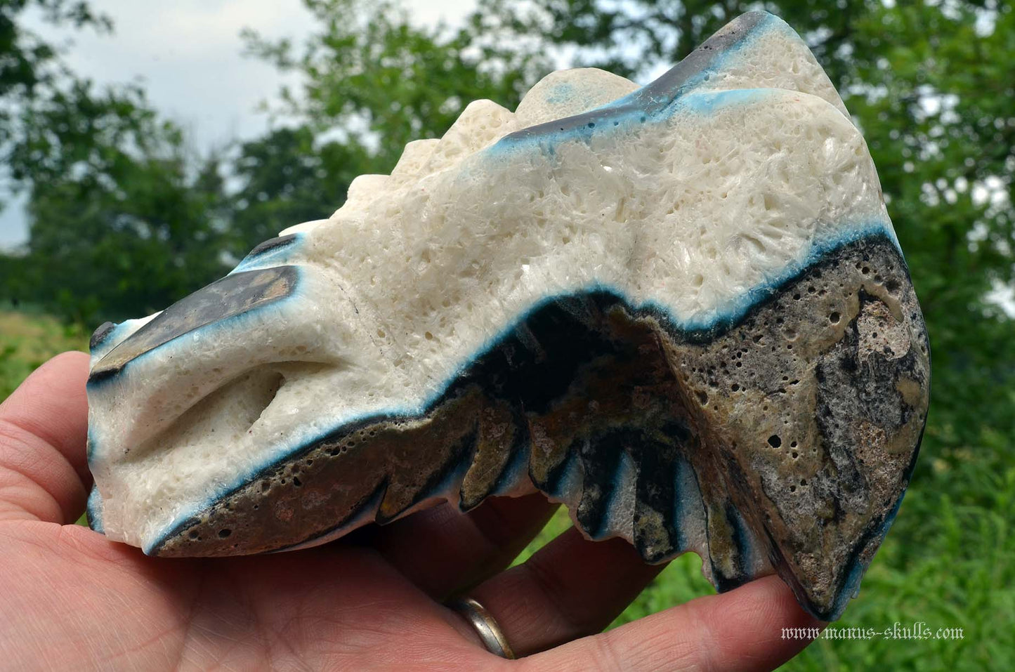 Large Glacierite Dragon