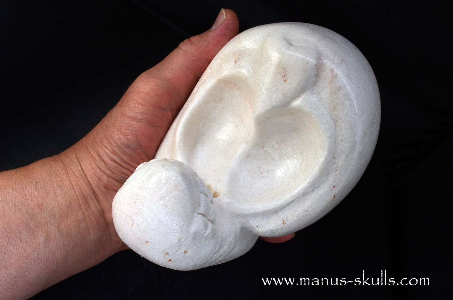 White Steatite Evolian #06